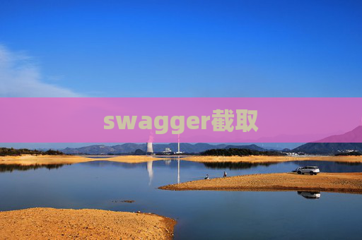 swagger截取